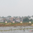 倪廟村(海南海口市秀英區西秀鎮下轄村) 倪廟村(海南海口市秀英區西秀鎮下轄村)