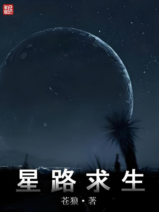 星路求生 星路求生