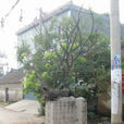 紂城 紂城