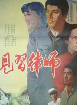 孫淳