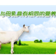 羊氏乳母 羊氏乳母