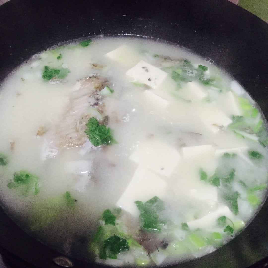 跳跳魚香菜豆腐湯