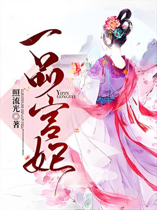 一品宮妃 一品宮妃