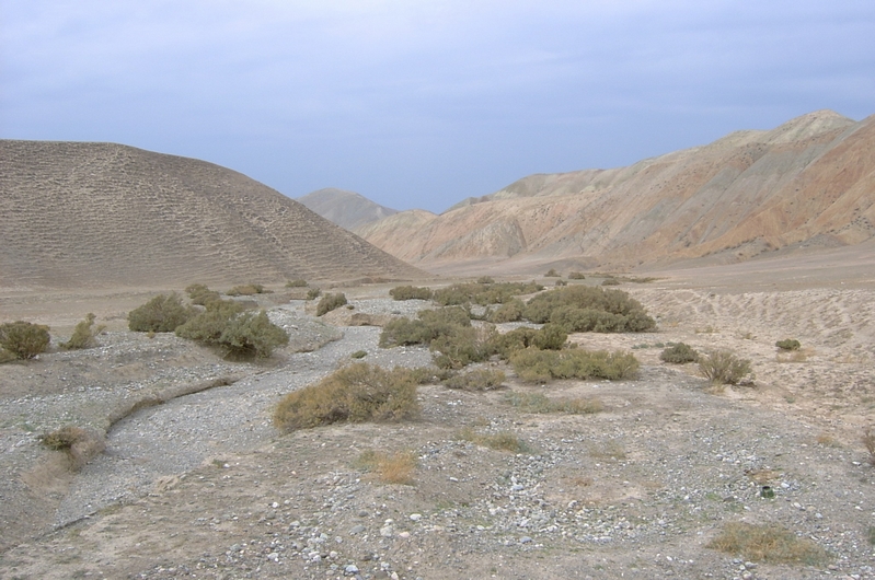 中亞及我國新疆地區的山地荒漠地帶