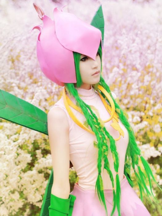 蝶花仙 蝶花仙