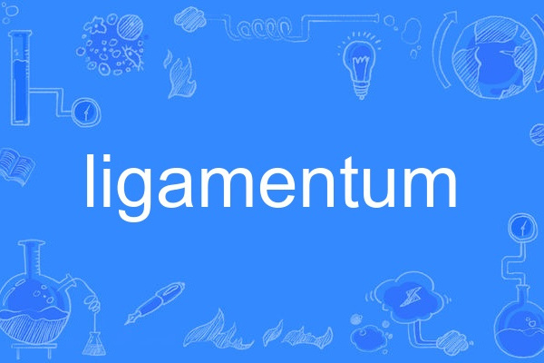 ligamentum ligamentum