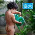 夏天(蔣一談短篇小說) 夏天(蔣一談短篇小說)