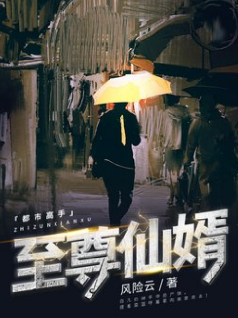 至尊仙婿(風險雲所著小說) 至尊仙婿(風險雲所著小說)
