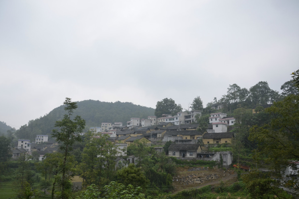 好友村 好友村