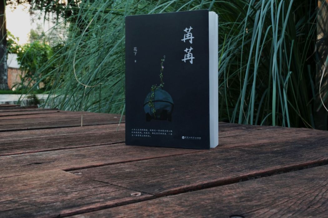 苒苒(2023年百花洲文藝出版社出版的圖書) 苒苒(2023年百花洲文藝出版社出版的圖書)