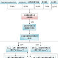 VIE模式 VIE模式