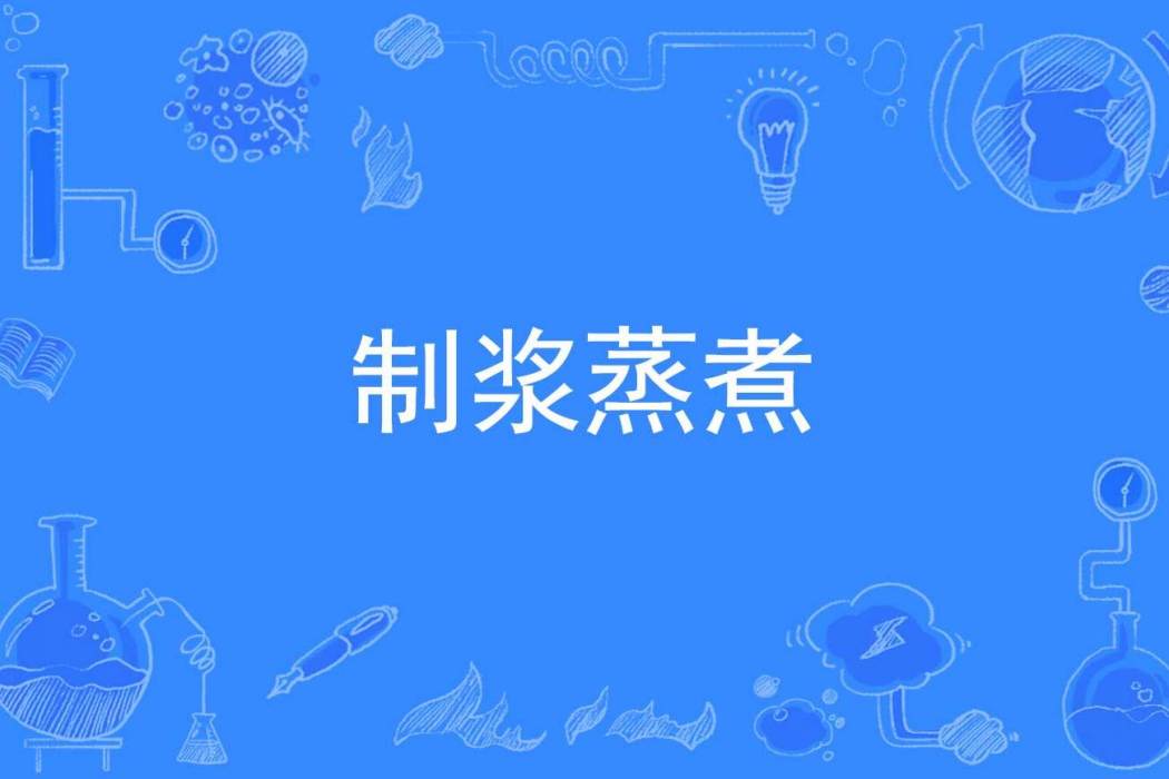 製漿蒸煮 製漿蒸煮