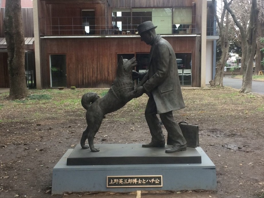 東京大學《八公與主人銅像》