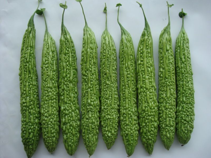 寧瓜1號 寧瓜1號
