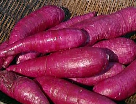 富硒紫番薯