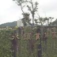 水頭賞鳥區 水頭賞鳥區