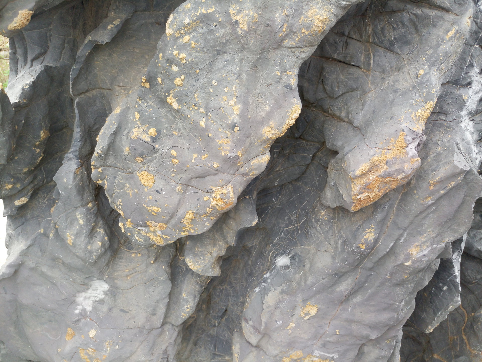 臼齒碳酸鹽岩