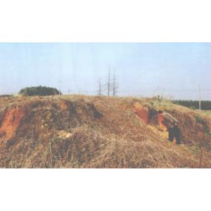 青陽山遺址 青陽山遺址