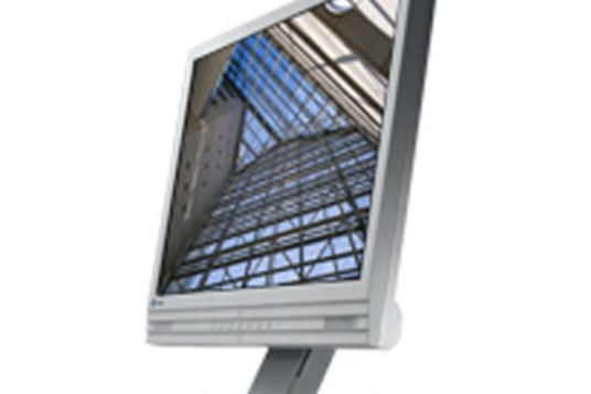 EIZO FlexScan M1700 EIZO FlexScan M1700