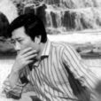 宋大成(電視劇《渴望》中男主人公之一) 宋大成(電視劇《渴望》中男主人公之一)