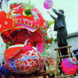 處州板龍 處州板龍