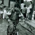 顧茜(《光影再現》欄目成員)