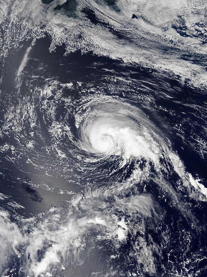強熱帶風暴玫瑰衛星雲圖