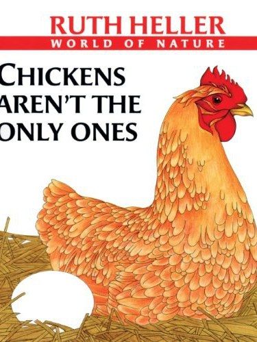 Chickens Aren\x27t the Only Ones Chickens Aren\x27t the Only Ones