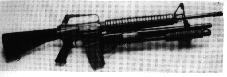 美國西納·阿爾蒂瑪特步霰結合槍