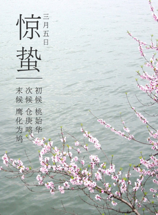 王新軍(影視演員) 王新軍(影視演員)