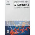 深入理解DNA 深入理解DNA