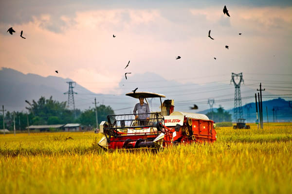 中國近代農業生產
