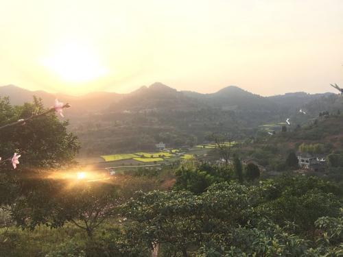 龍旺一村 龍旺一村