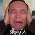 煩skr人 煩skr人