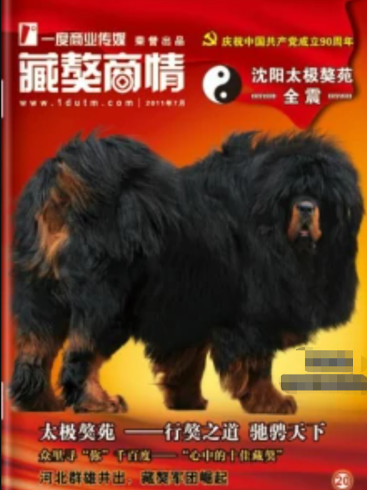 藏獒商情
