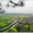 八鄭村 八鄭村