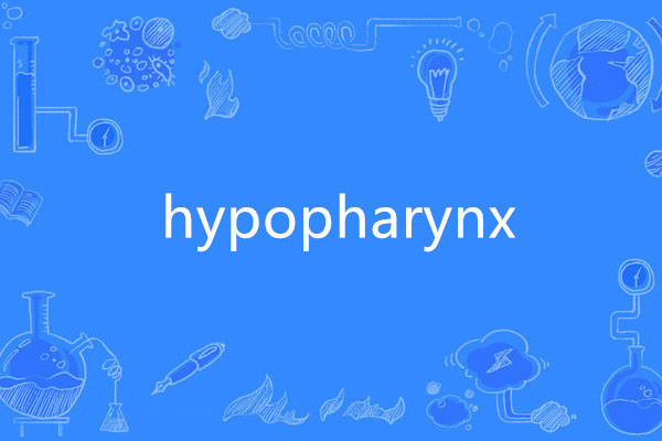 hypopharynx hypopharynx