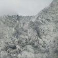 武功山(羅霄山脈的北支，腹地有國家4A級旅遊景區)