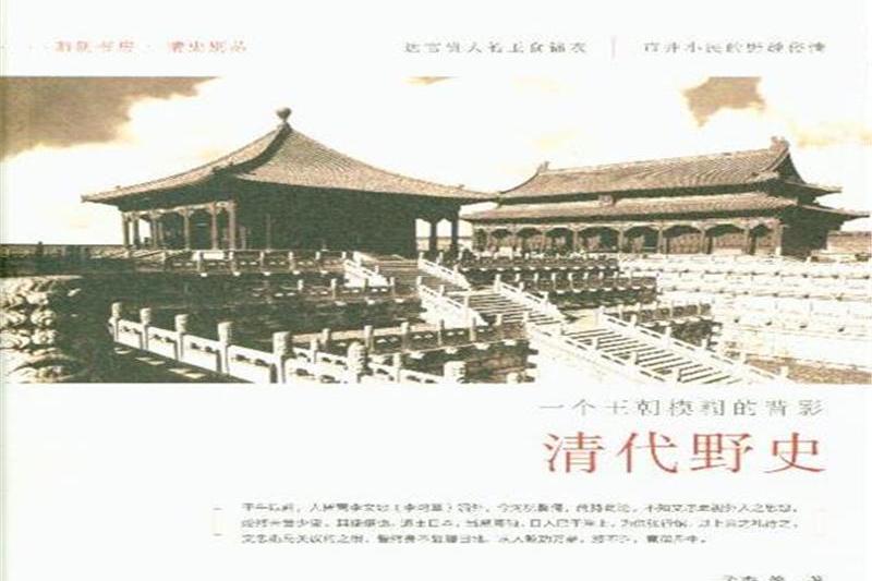 清代野史 清代野史