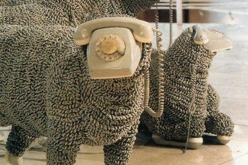 SCP-1498 SCP-1498