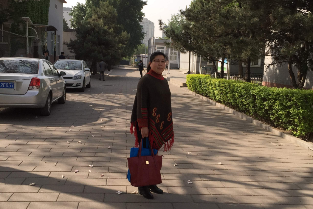 樊鳳麗(河南明耀律師事務所律師)