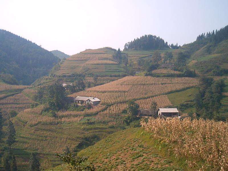 茶元廟村 茶元廟村