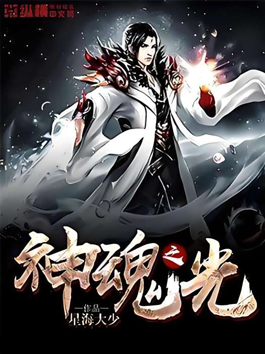 神魂之光 神魂之光