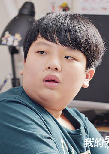 我的男孩(2017年林心如、張軒睿主演電視劇)
