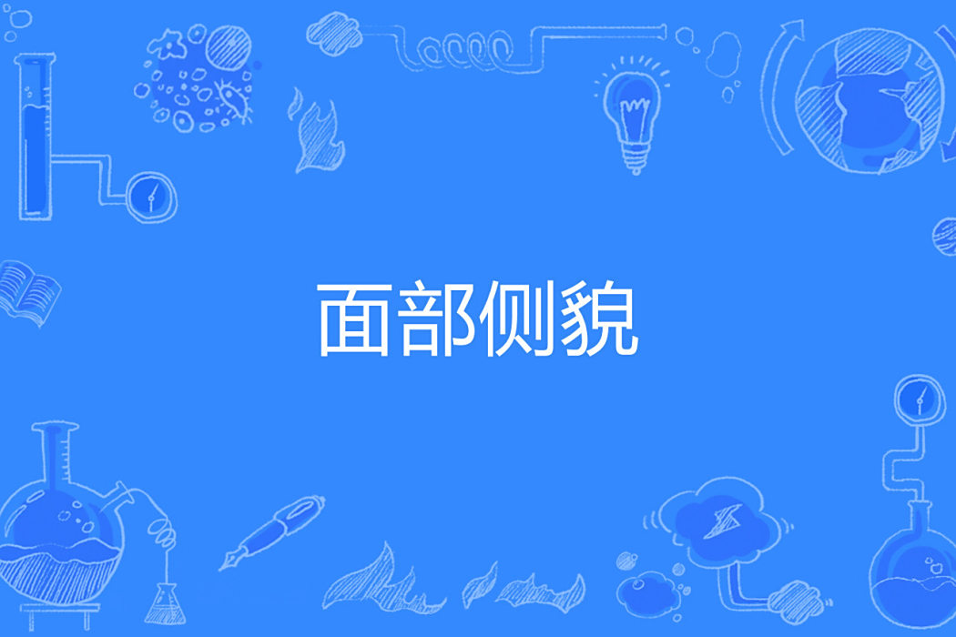 面部側貌 面部側貌