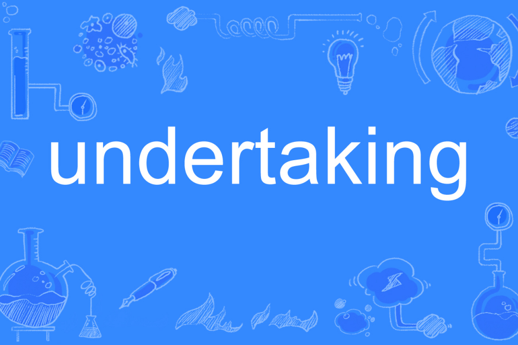 undertaking undertaking