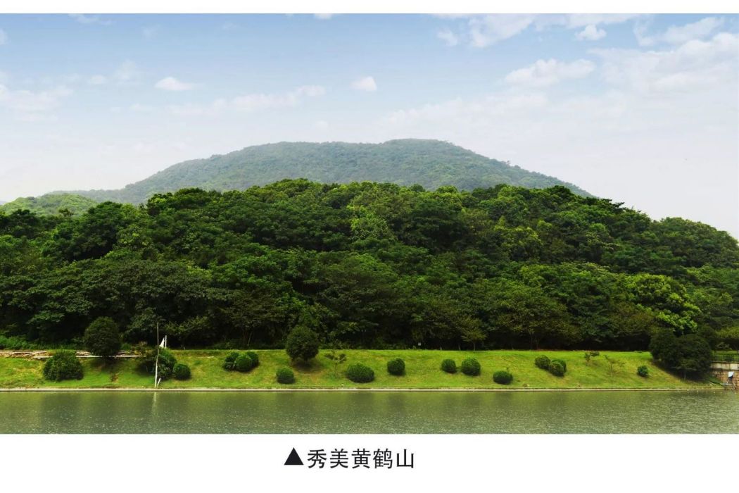 黃鶴山(杭州市臨平區星橋街道黃鶴山) 黃鶴山(杭州市臨平區星橋街道黃鶴山)