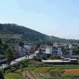 賈王村(雲南省昆明市宜良縣北古城鎮賈王村) 賈王村(雲南省昆明市宜良縣北古城鎮賈王村)