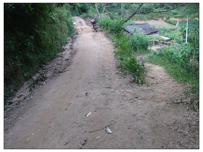 冷水河自然村通村道路