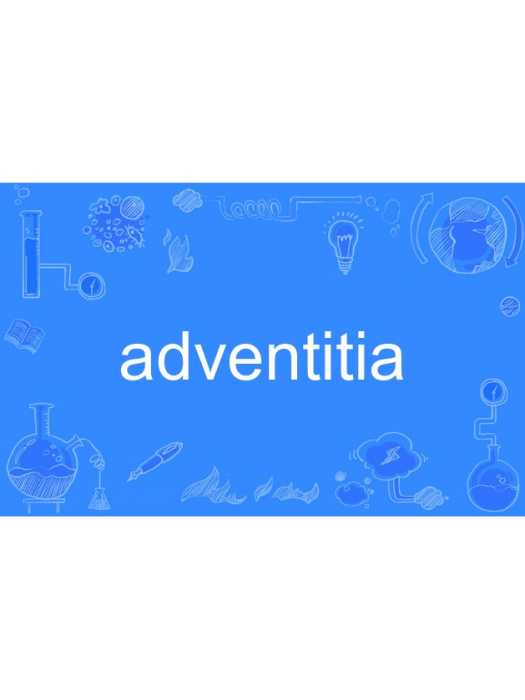 adventitia adventitia
